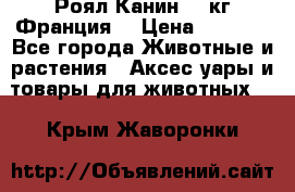  Роял Канин 20 кг Франция! › Цена ­ 3 520 - Все города Животные и растения » Аксесcуары и товары для животных   . Крым,Жаворонки